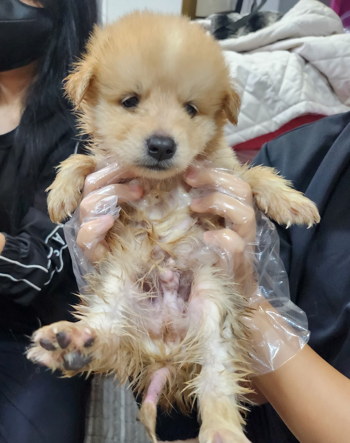 울산유기동물보호센터_431372202300505